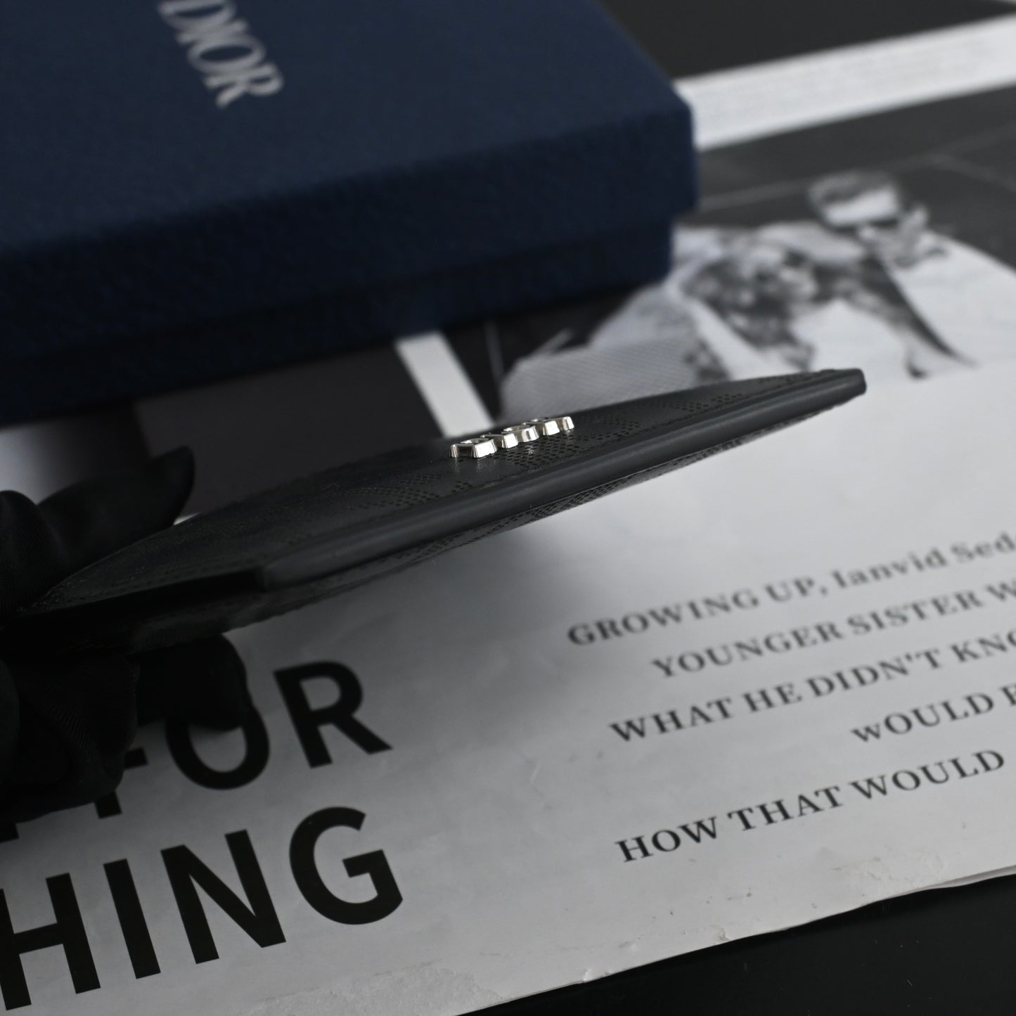 Christian Dior Perforated Leather Oblique Card Holder