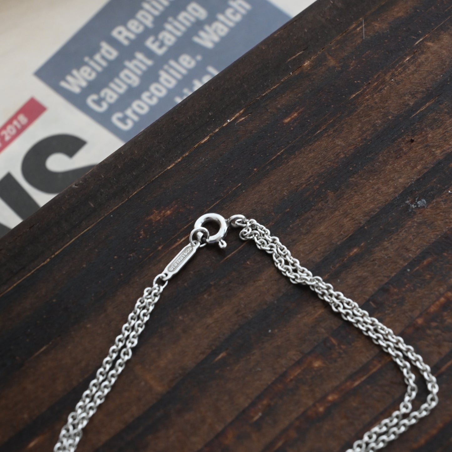 Tiffany & Co. Silver Infinity Double Chain Bracelet