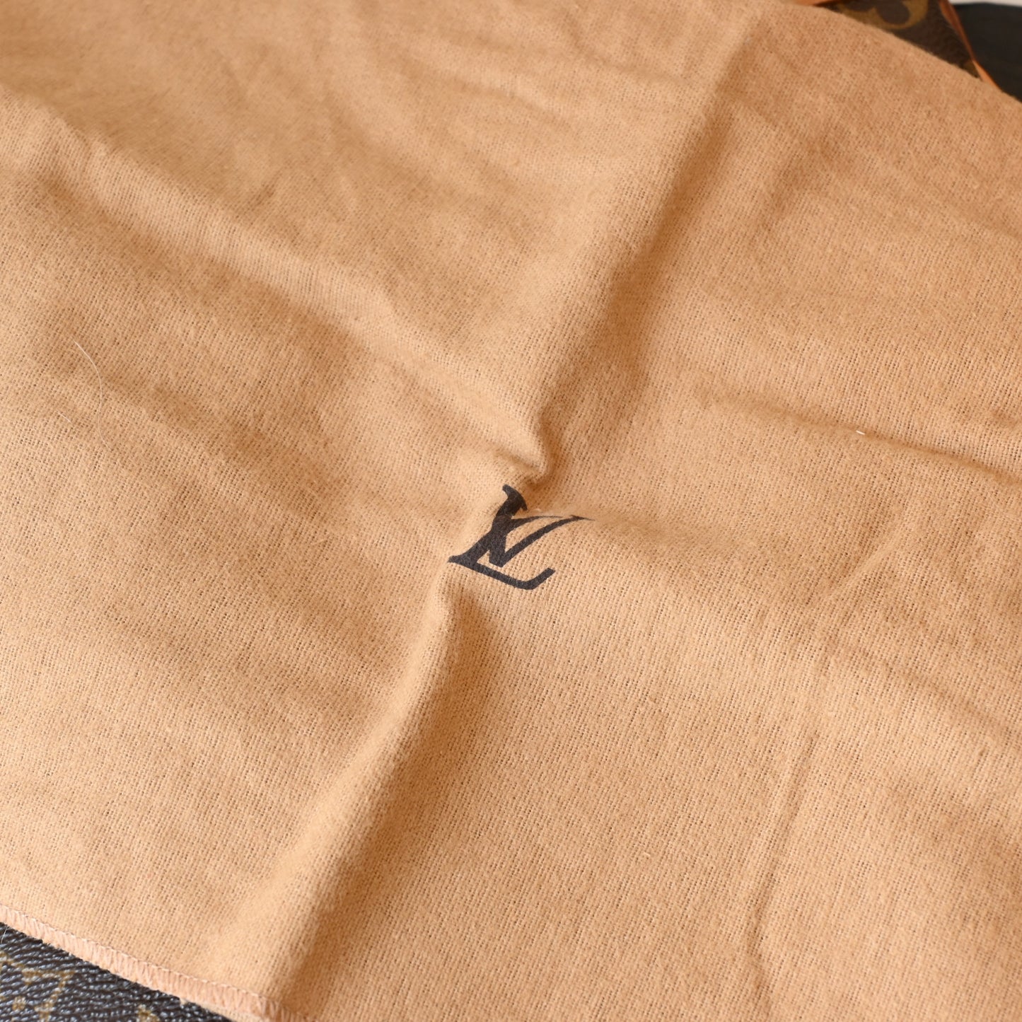 Louis Vuitton Monogram Coussin