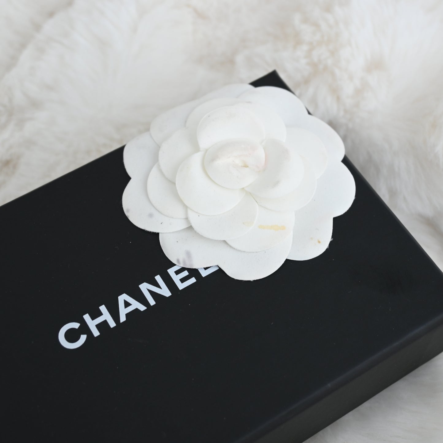 Chanel Quilted Flap Cardholder Black Caviar