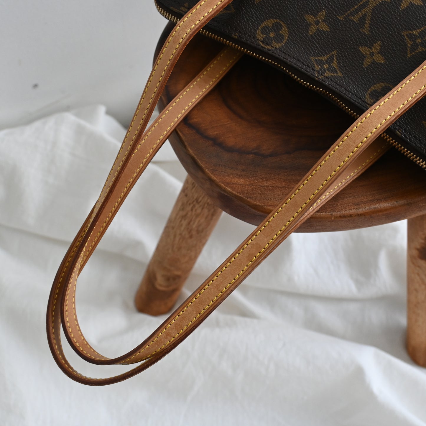 Louis Vuitton Monogram Coussin