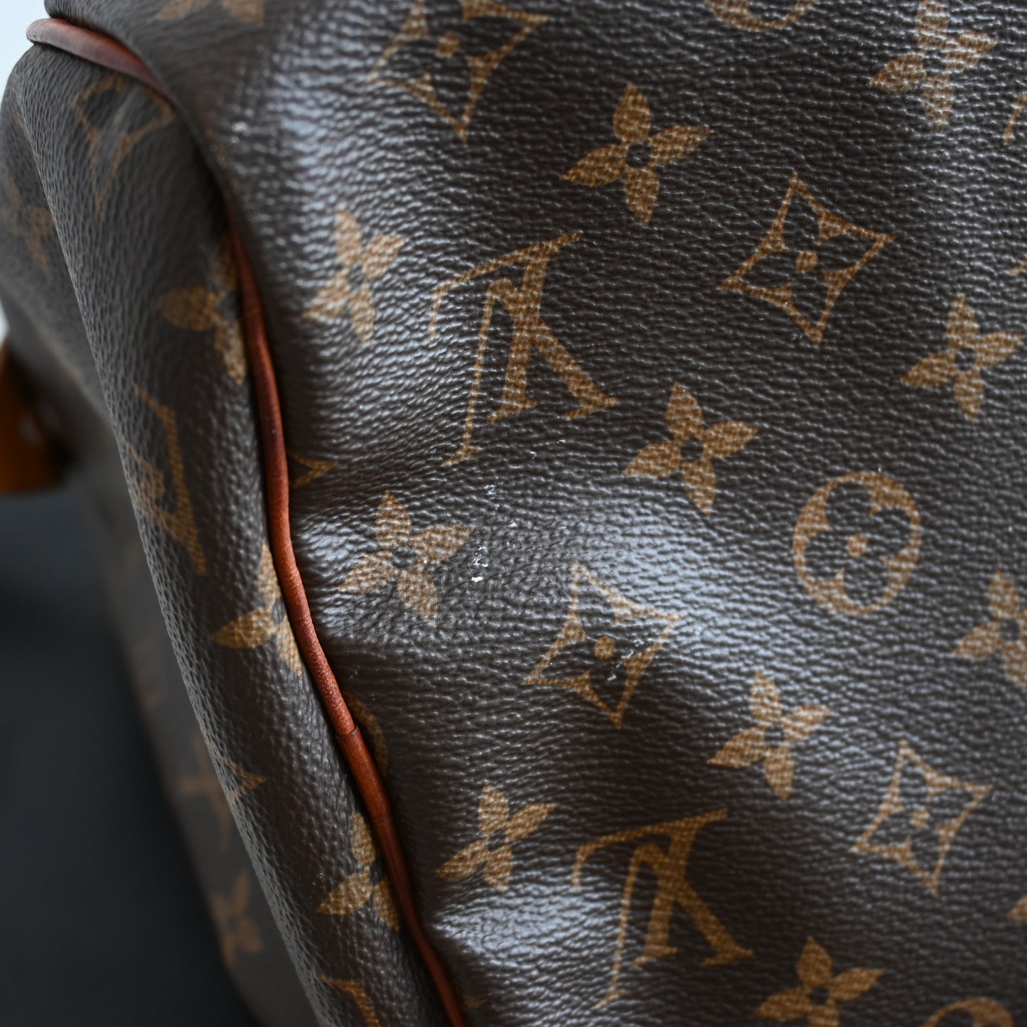 Louis Vuitton Speedy 30 Monogram