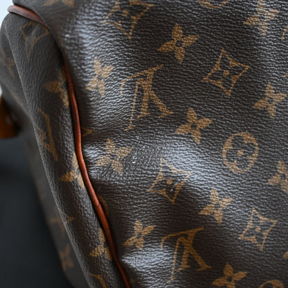 Louis Vuitton Speedy 30 Monogram
