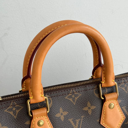 Louis Vuitton Speedy 25 Monogram