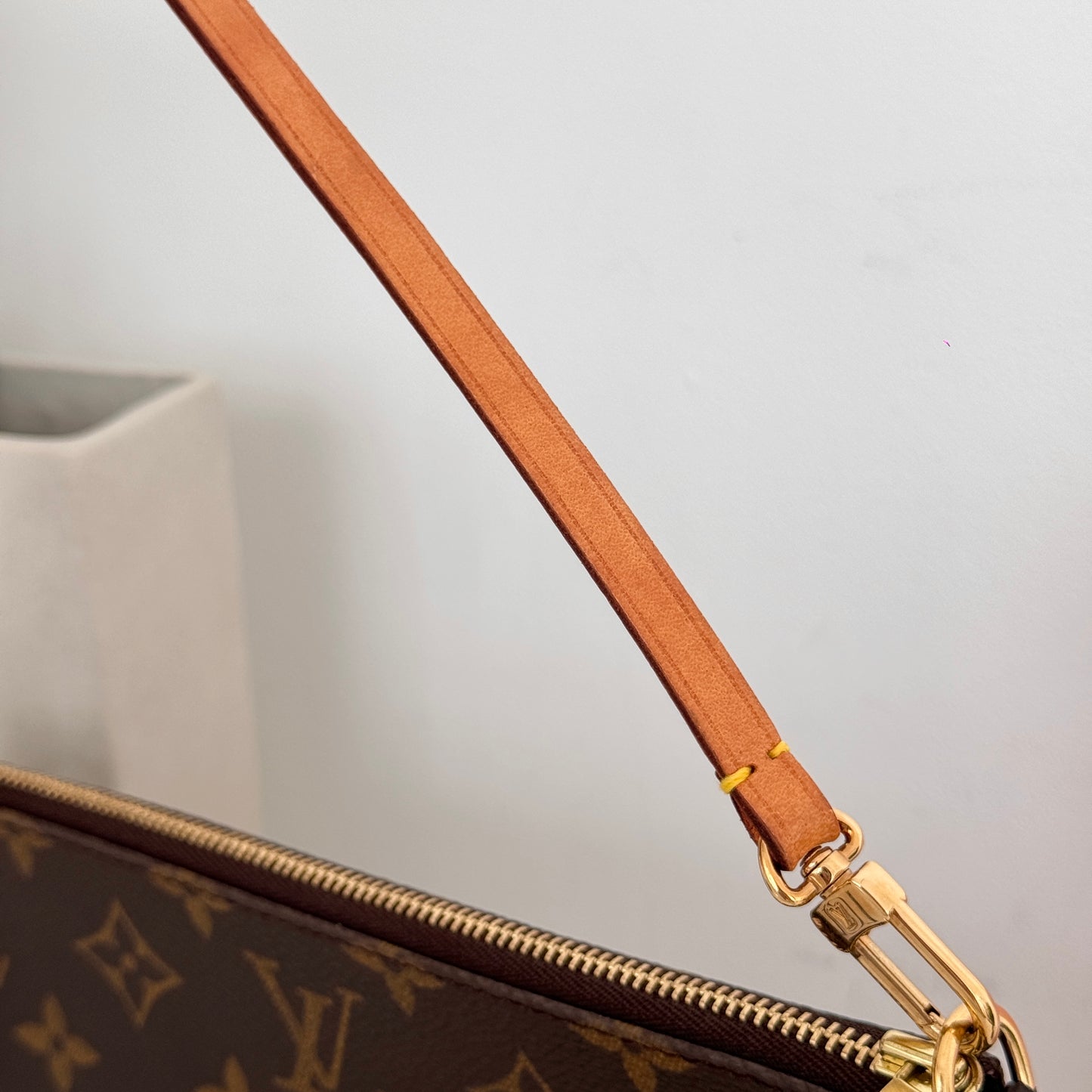 Louis Vuitton Pochette Acceasoires