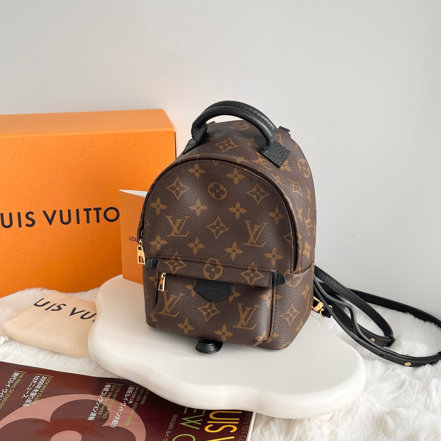 Louis Vuitton Mini Palm Spring Backpack