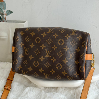 Louis Vuitton Speedy 25 Monogram