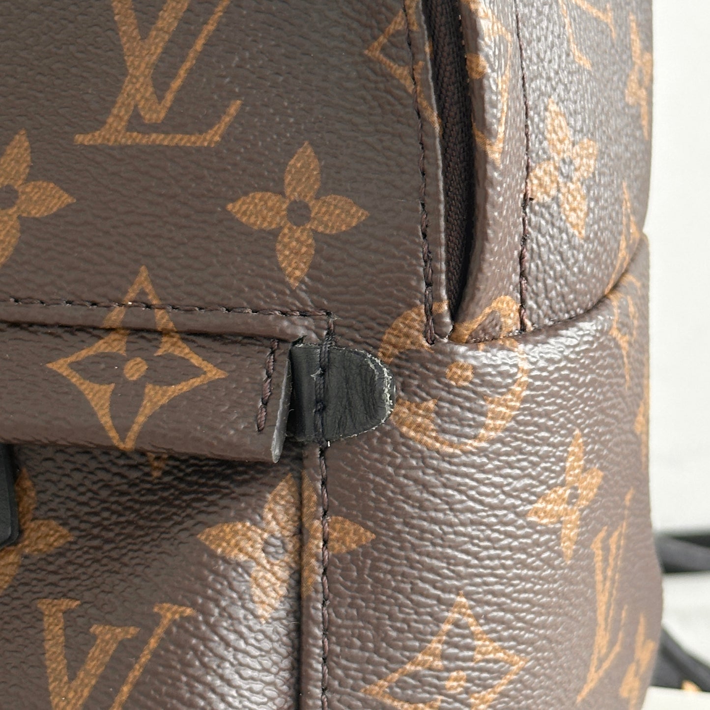 Louis Vuitton Mini Palm Spring Backpack