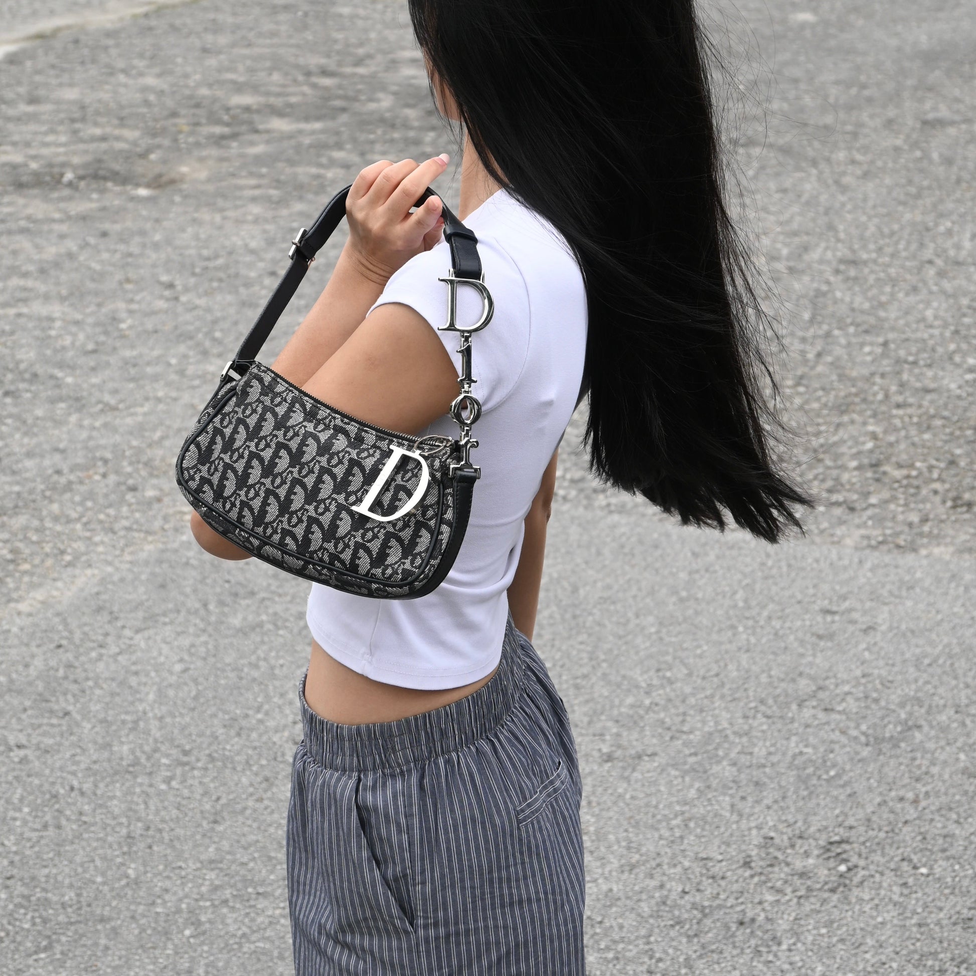 Dior D Charm Trotter Shoulder Bag - Leluxe Vintage Sdn. Bhd.