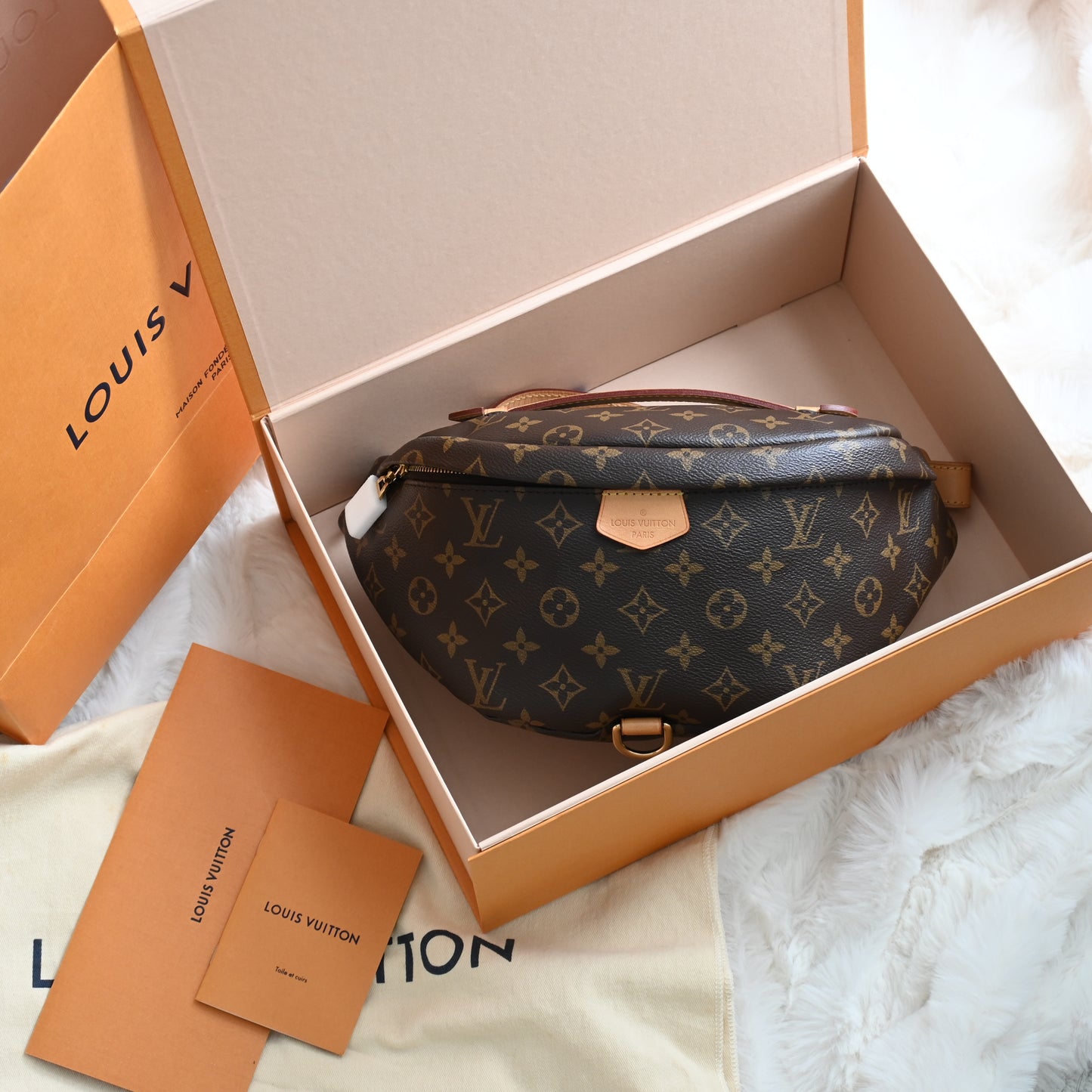 Louis Vuitton Bumbag Monogram