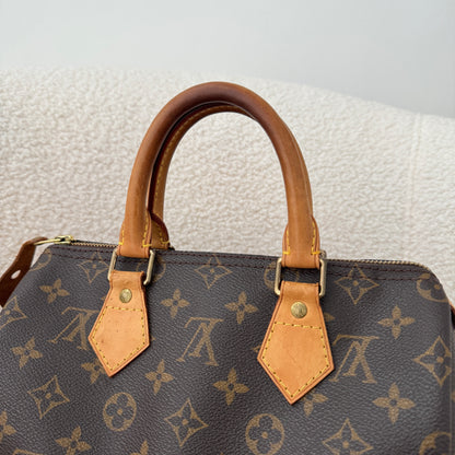 Louis Vuitton Speedy 25 in monogram