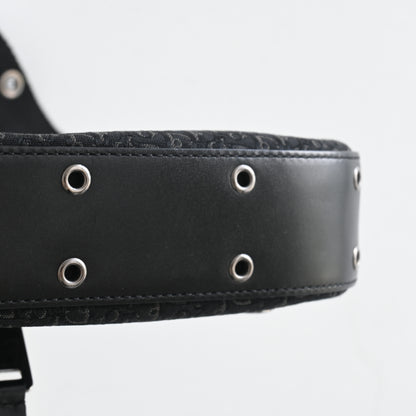 Dior Columbus Street Chic Punk Bag