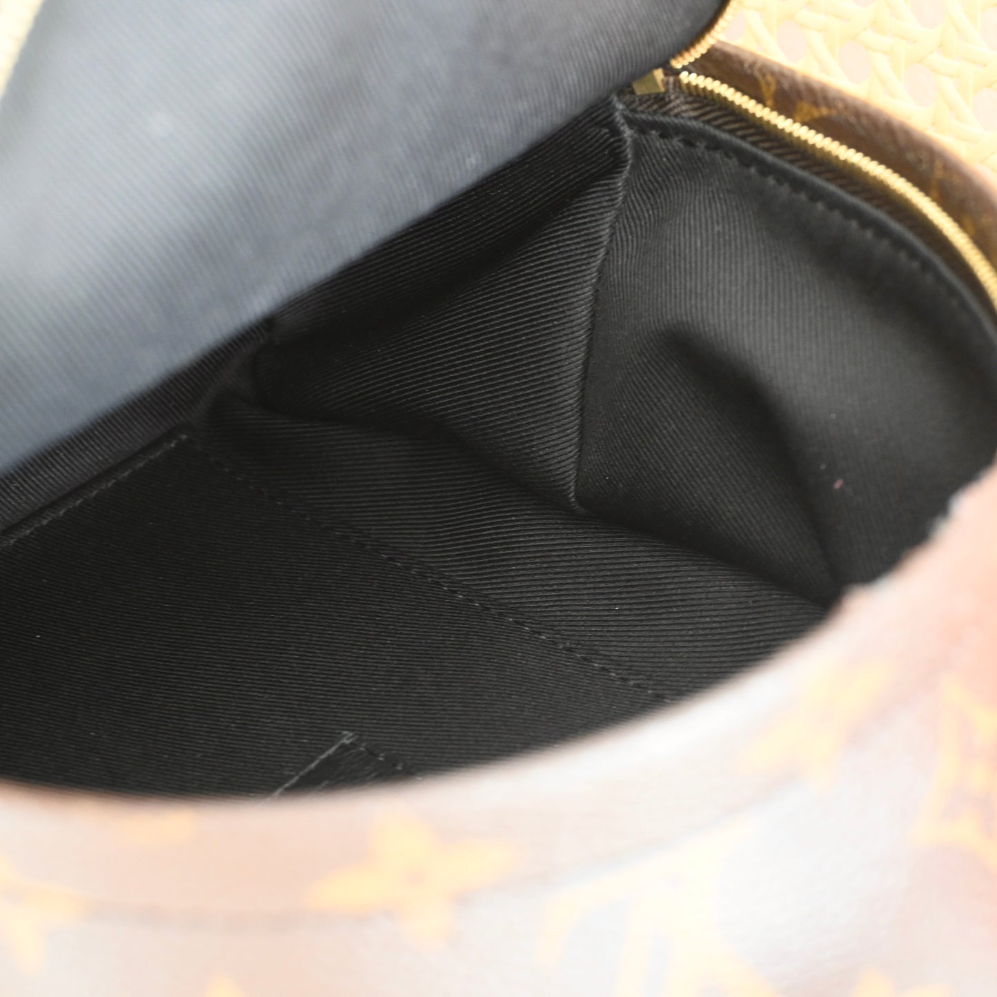 Louis Vuitton Mini Palm Springs Backpack