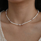 Tasaki Akoya Pearl Chocker Necklace  18k YG