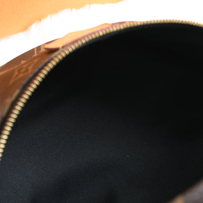 Louis Vuitton Bumbag Monogram