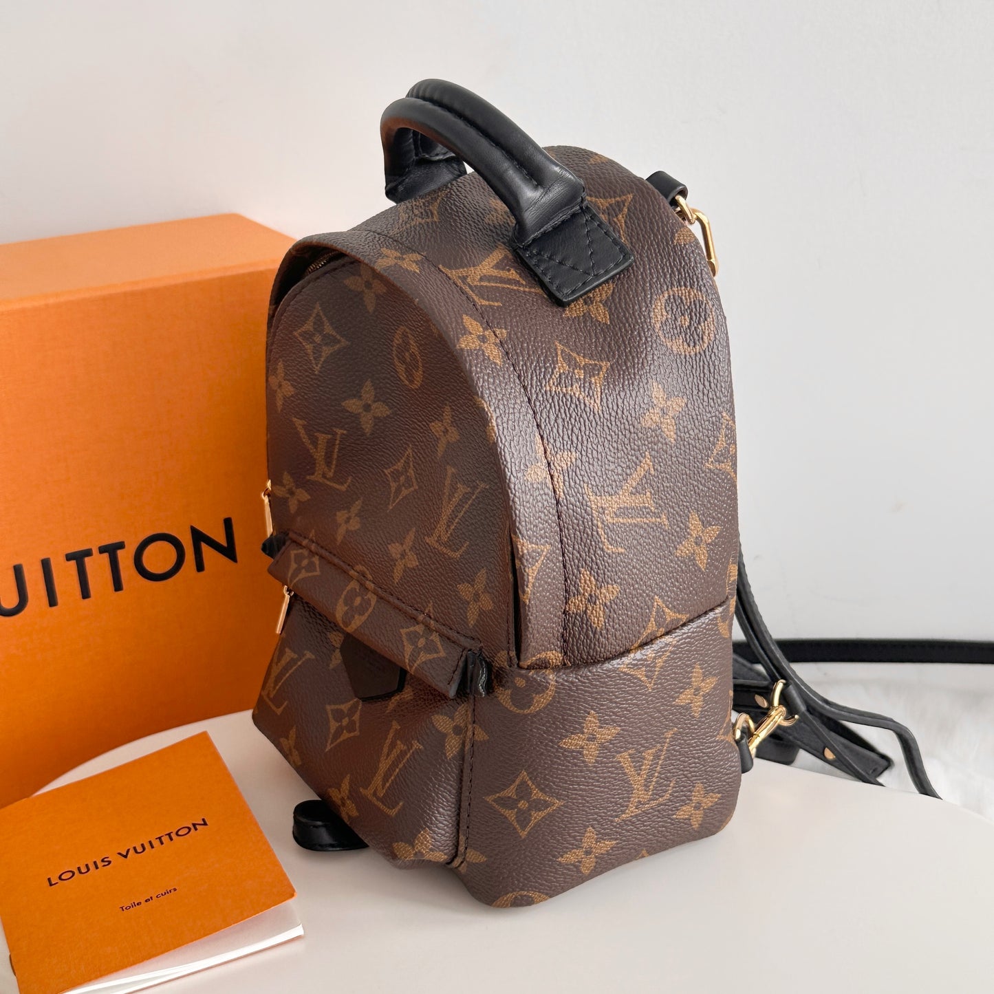 Louis Vuitton Mini Palm Spring Backpack