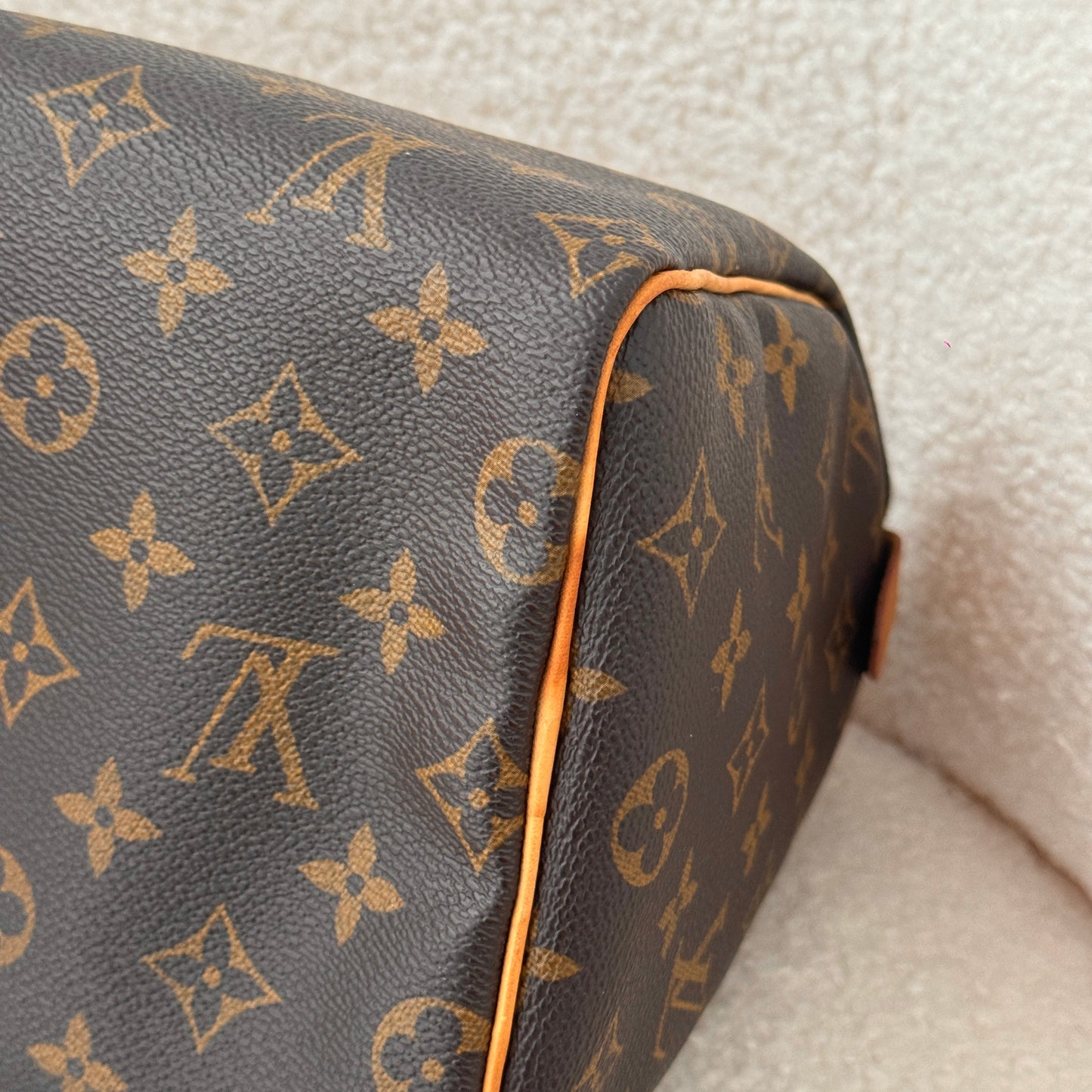 Louis Vuitton Speedy 25 in monogram