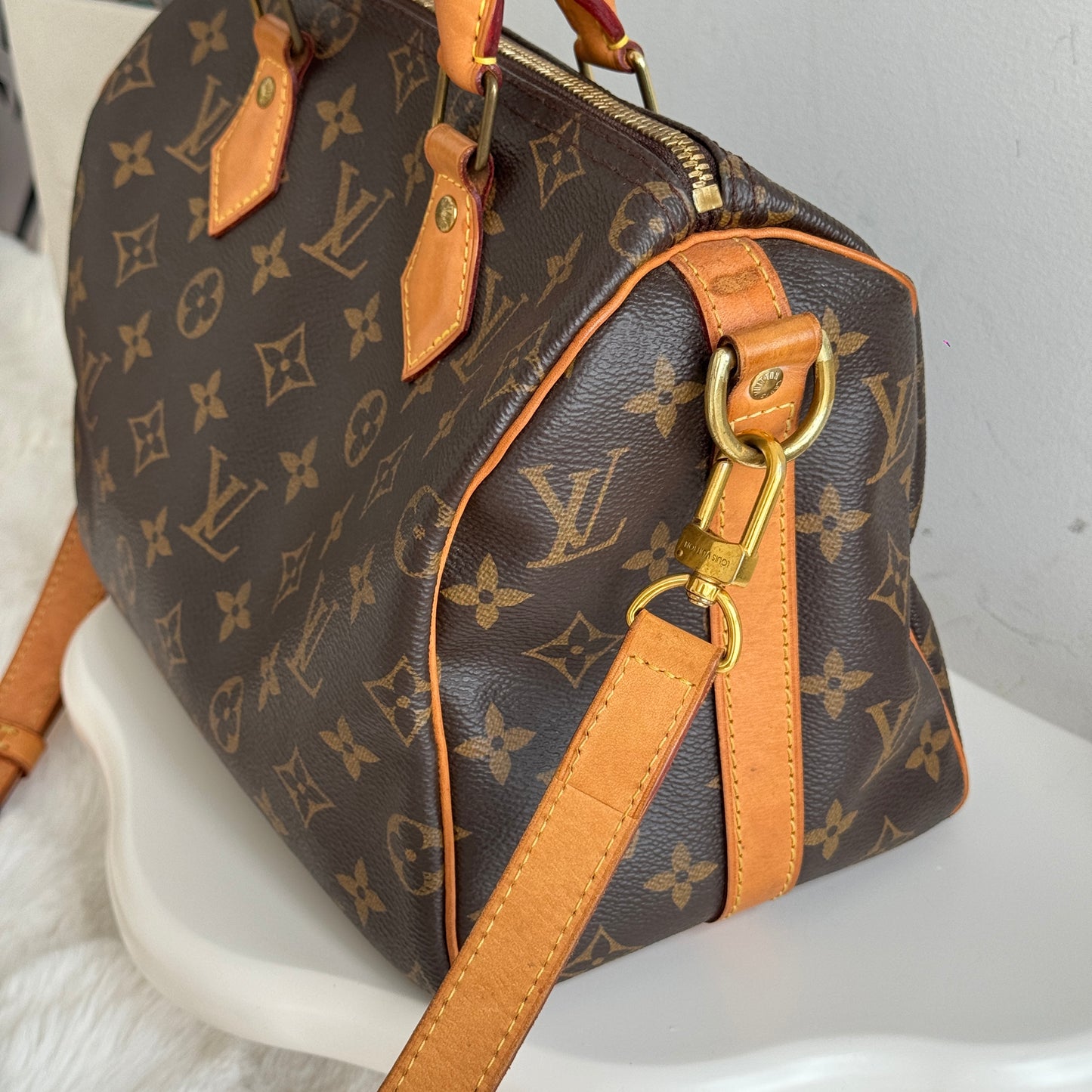 Louis Vuitton Speedy 25 Monogram