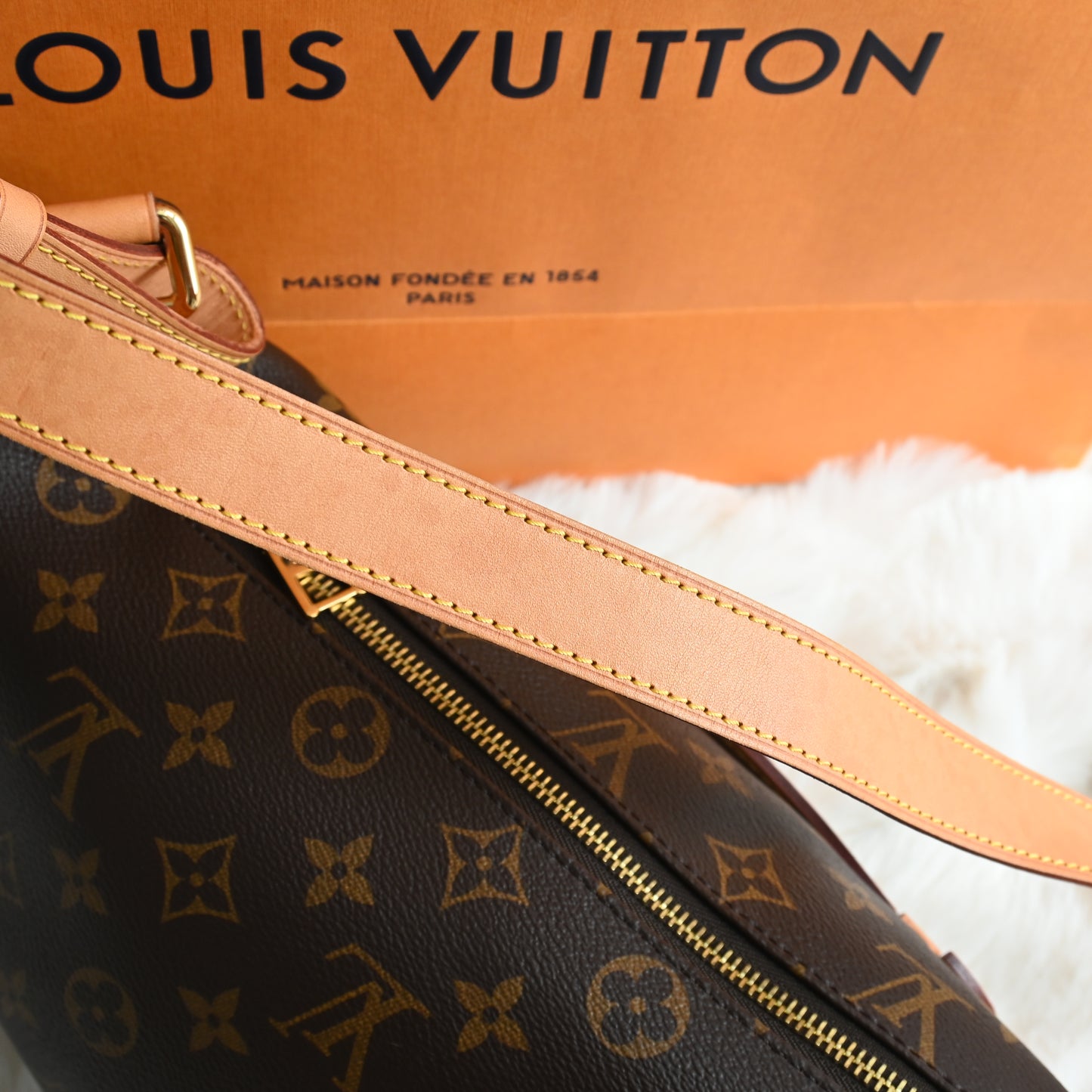 Louis Vuitton Bumbag Monogram