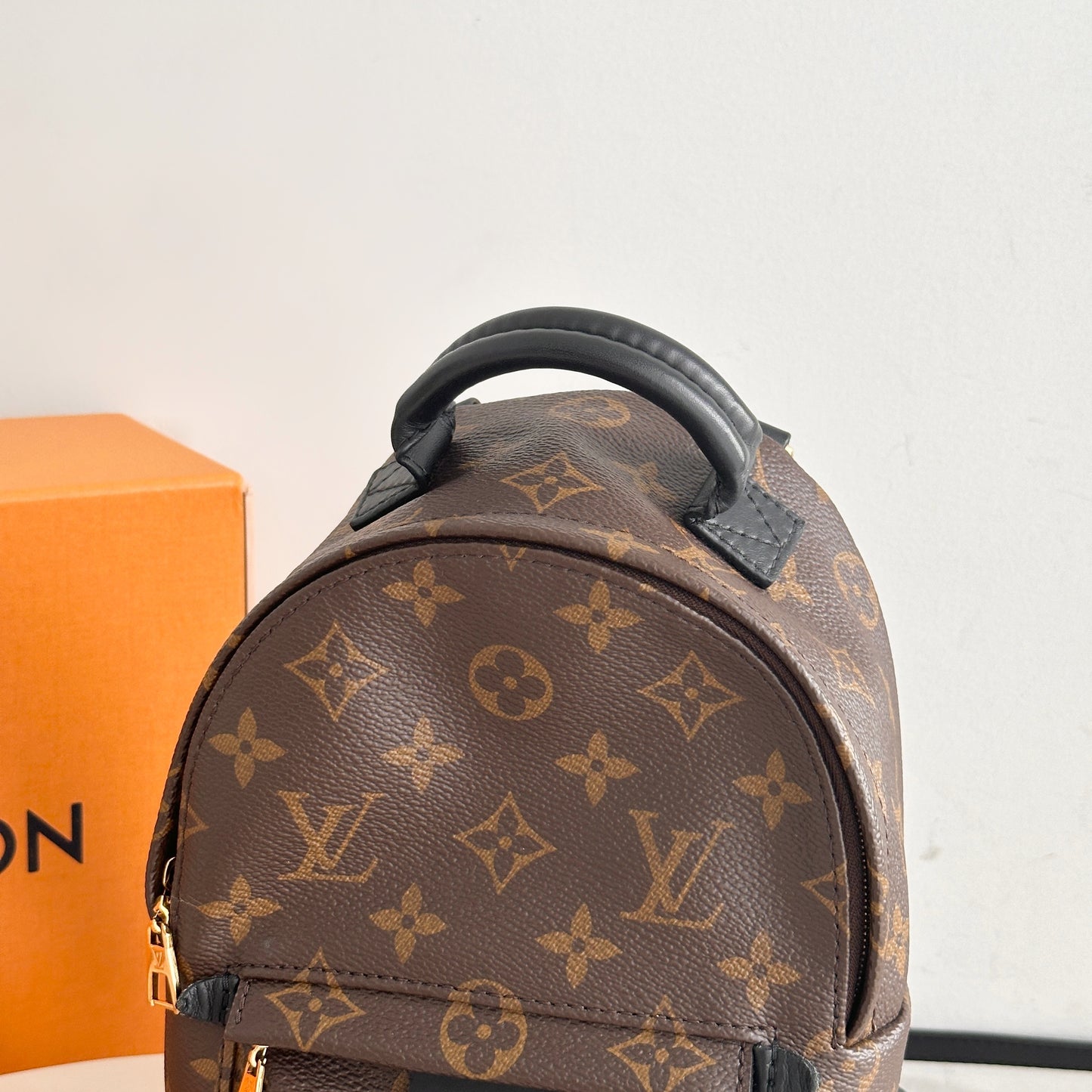 Louis Vuitton Mini Palm Spring Backpack