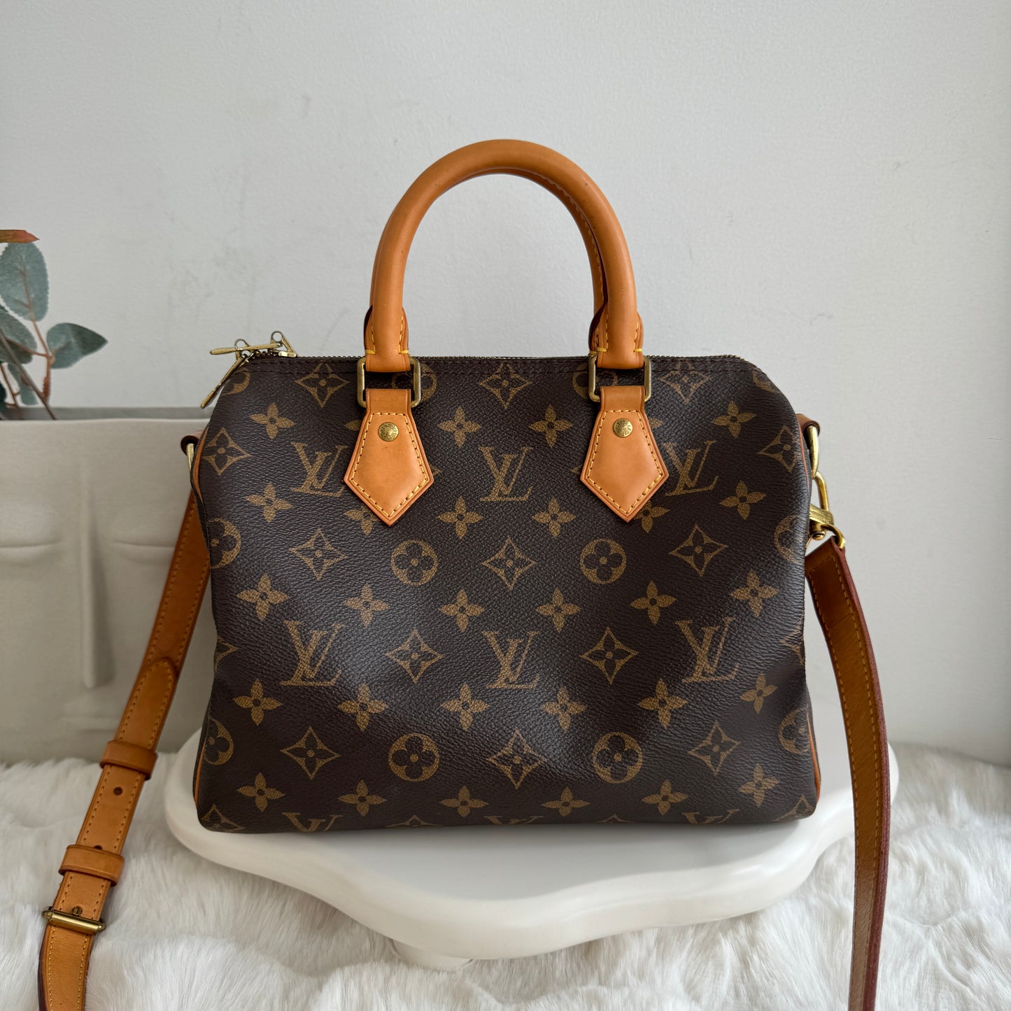 Louis Vuitton Speedy 25 Monogram