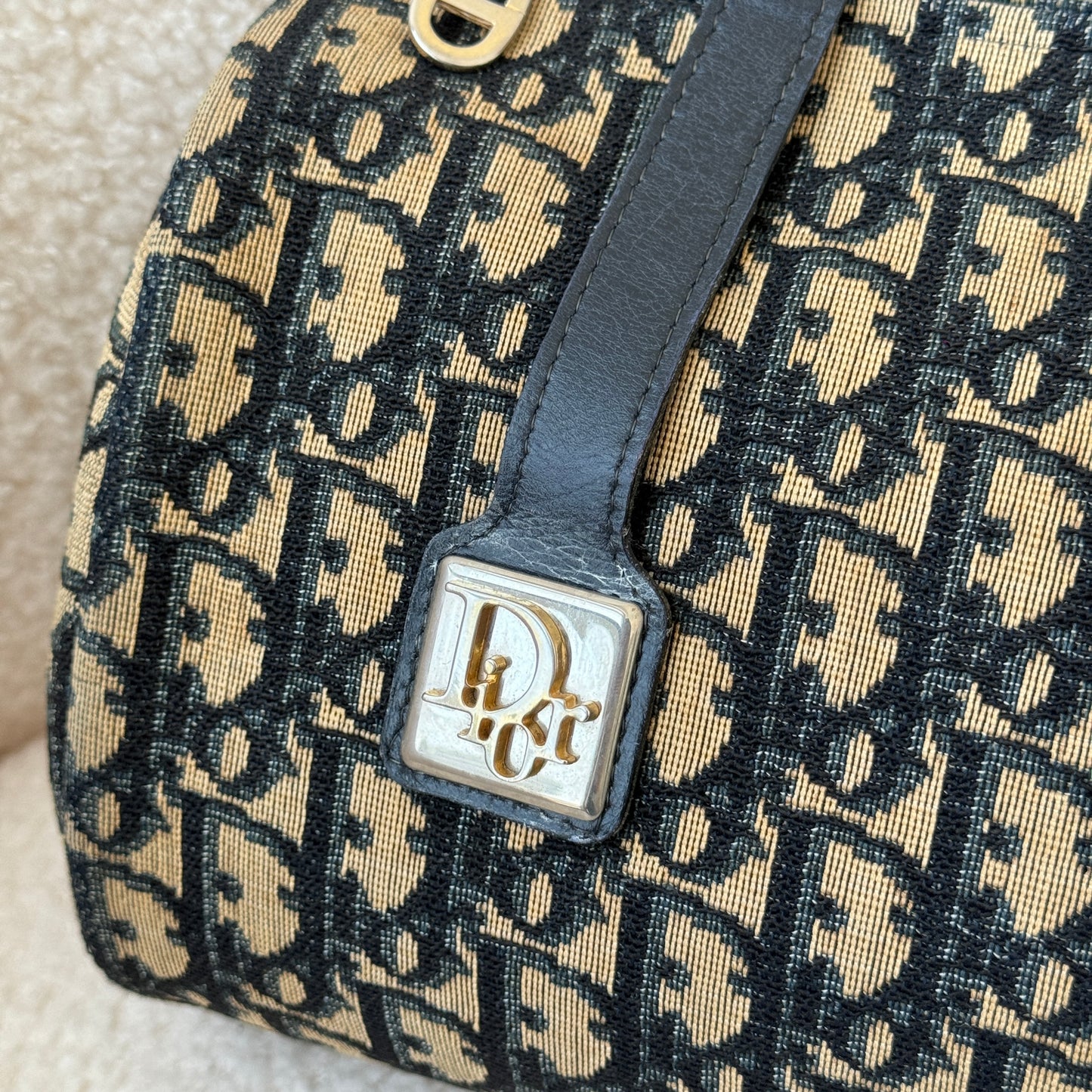 Dior Papillon Monogram