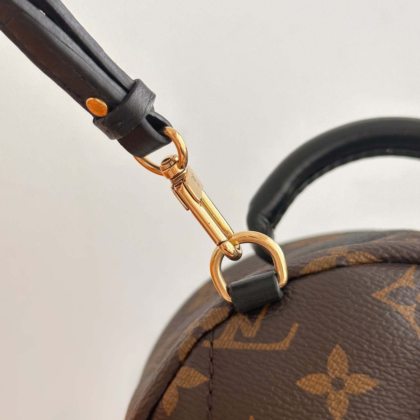 Louis Vuitton Mini Palm Spring Backpack