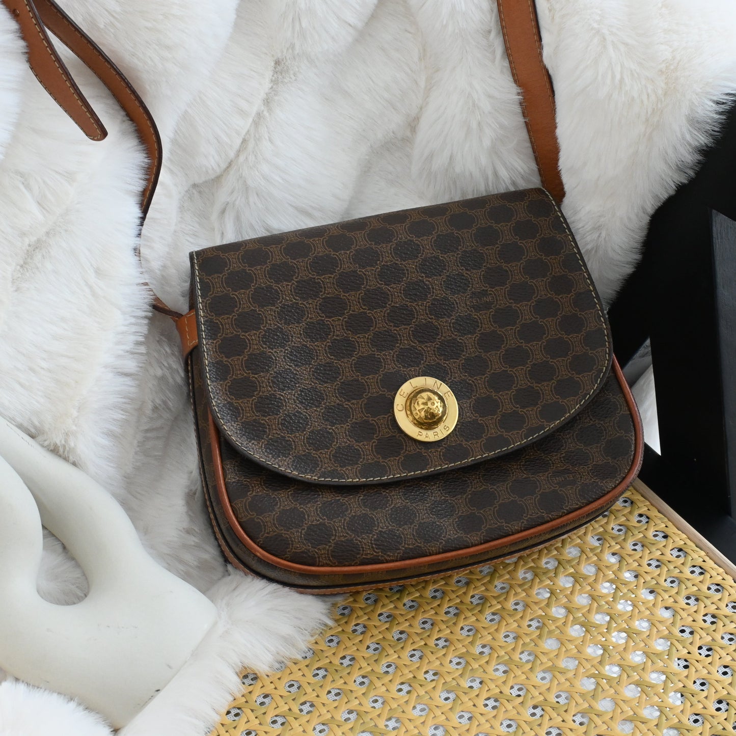 Celine Macadam Triomphe Monogram Star Globe Small Crossbody Bag