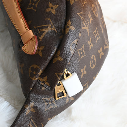 Louis Vuitton Bumbag Monogram