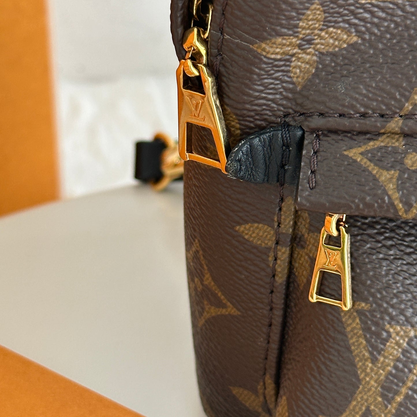 Louis Vuitton Mini Palm Spring Backpack