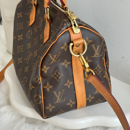 Louis Vuitton Speedy 25 Monogram