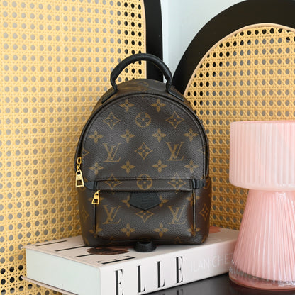 Louis Vuitton Mini Palm Springs Backpack