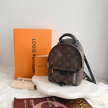 Louis Vuitton Mini Palm Spring Backpack