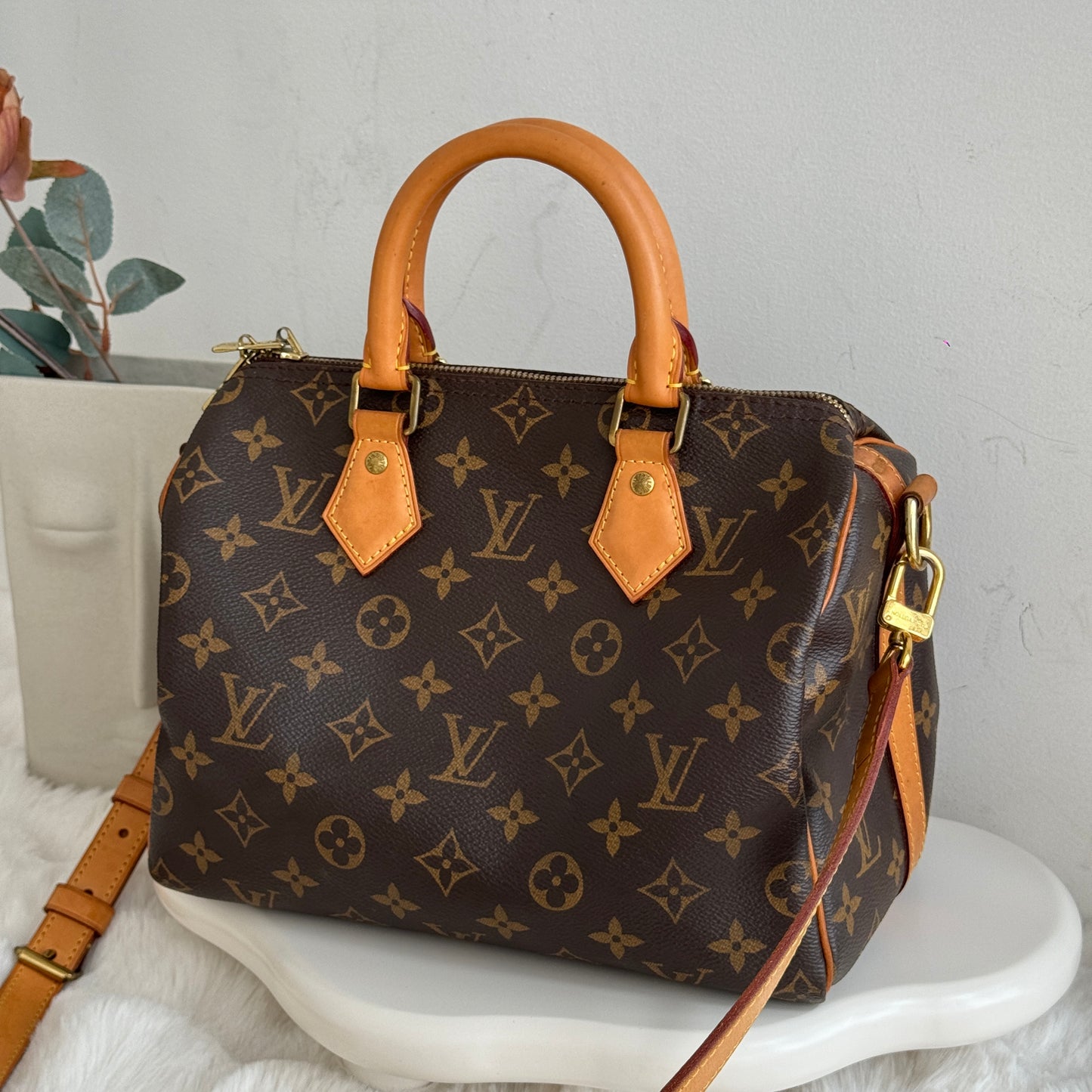 Louis Vuitton Speedy 25 Monogram