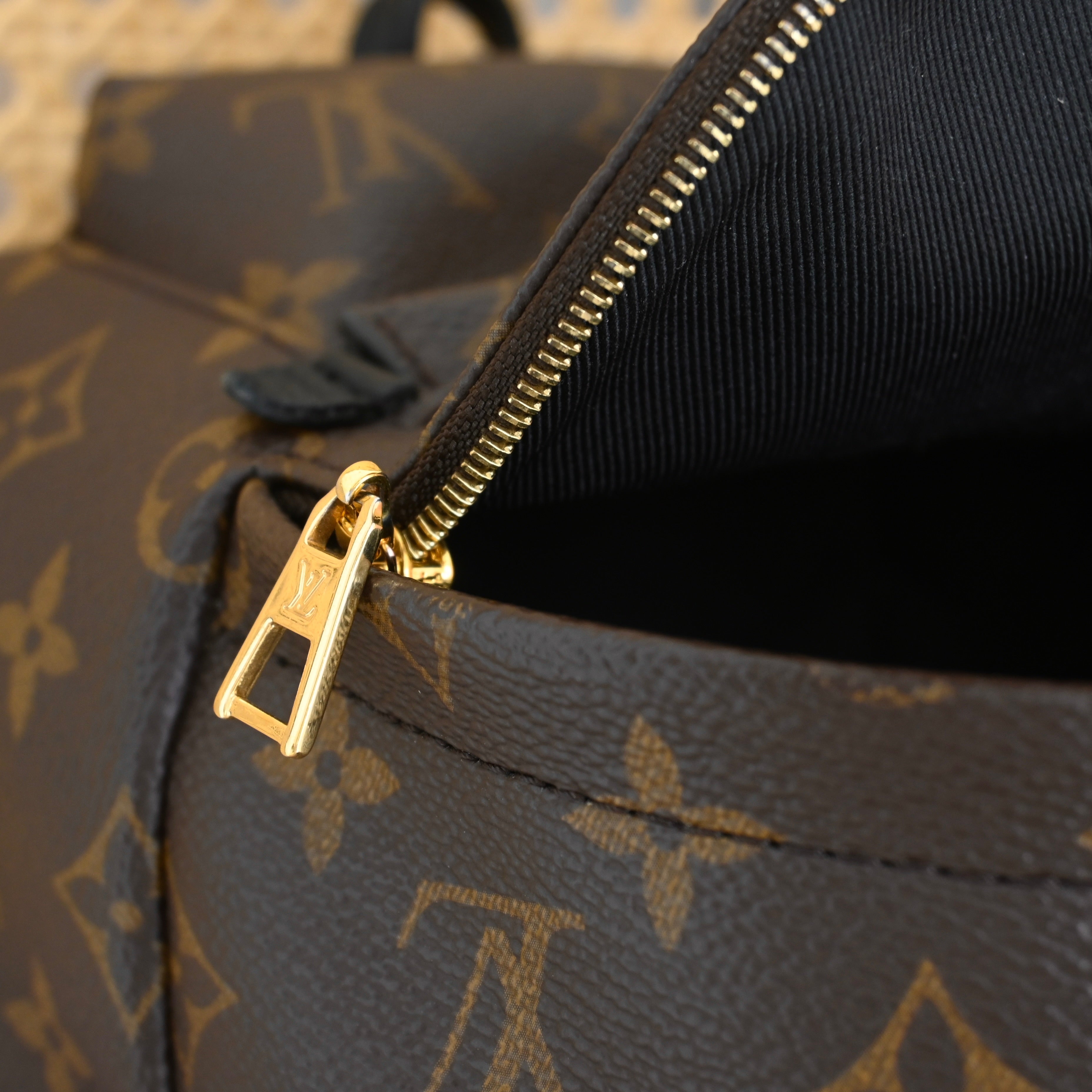 Louis Vuitton Mini Palm Springs Backpack - Leluxe Vintage Sdn. Bhd.