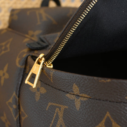 Louis Vuitton Mini Palm Springs Backpack
