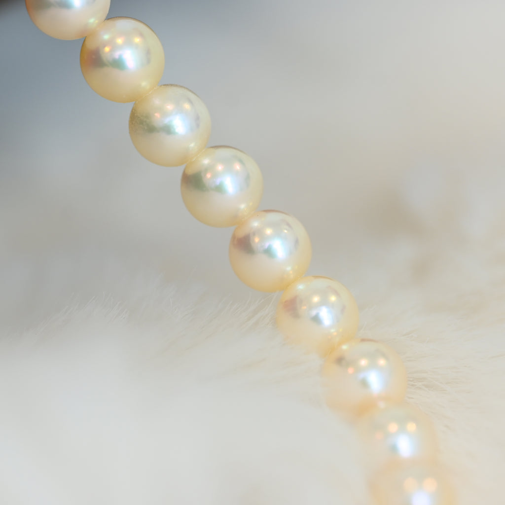 Tasaki Akoya Pearl Necklace 18K YG - Leluxe Vintage Sdn. Bhd.