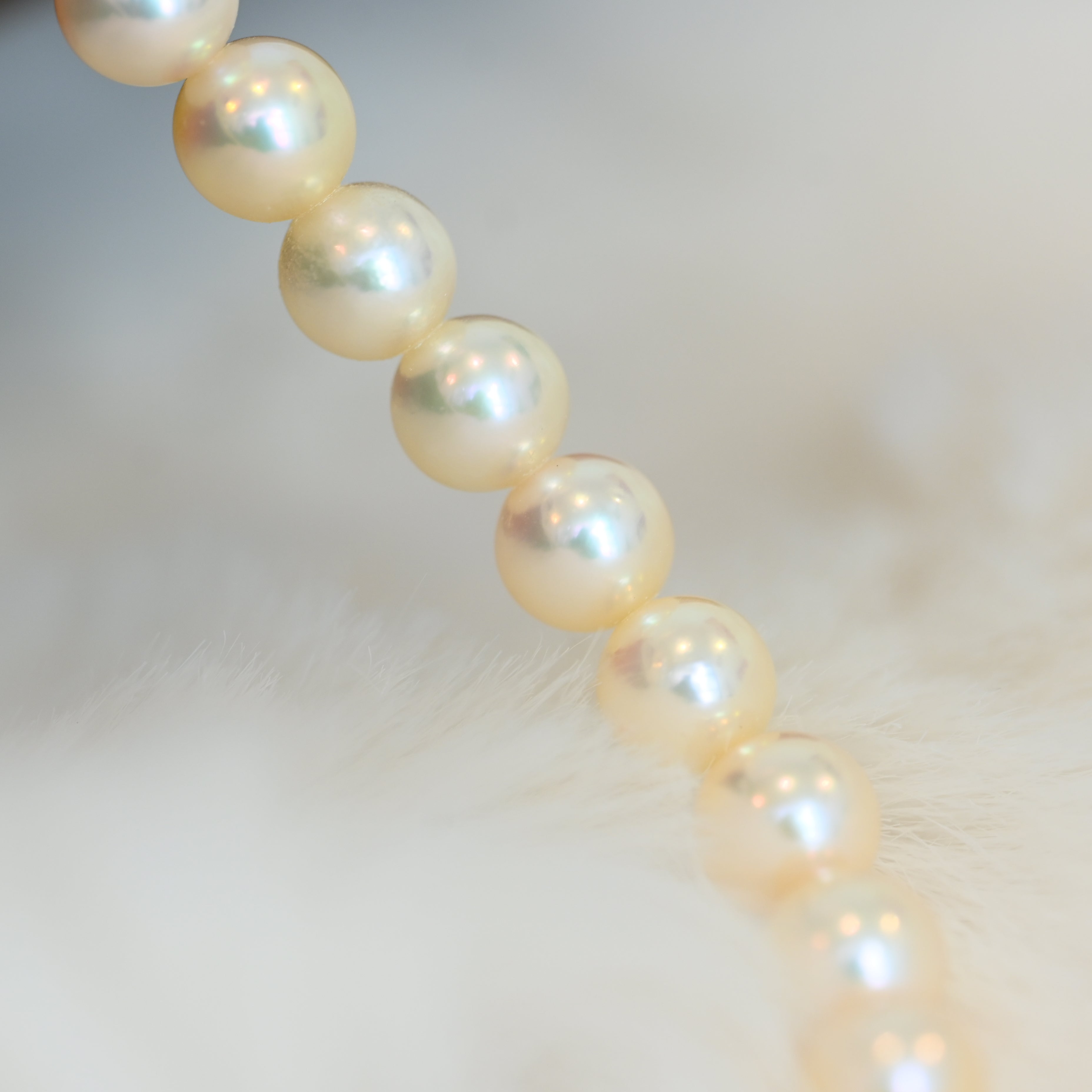 Tasaki Akoya Pearl Necklace 18K YG - Leluxe Vintage Sdn. Bhd.