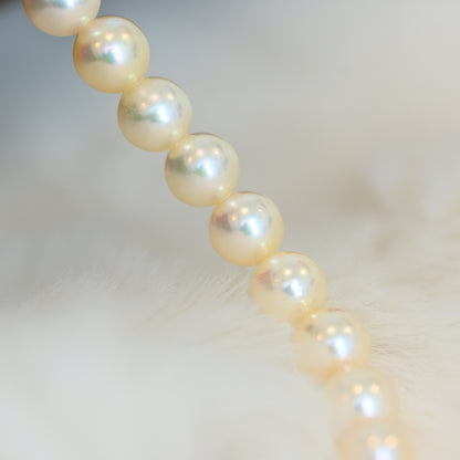 Tasaki Akoya Pearl Necklace 18K YG