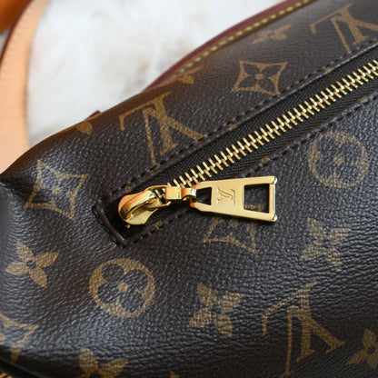 Louis Vuitton Bumbag Monogram