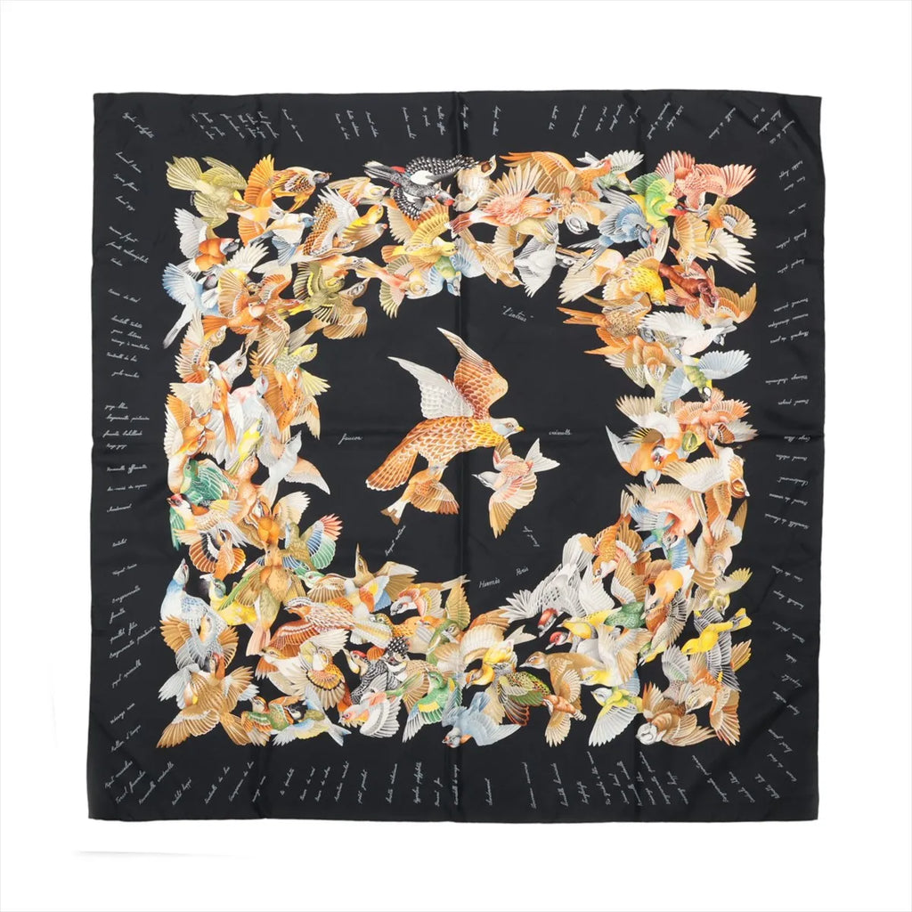 Hermes Scarf L'Intrus Trespasser by Antoine De Jacquelot