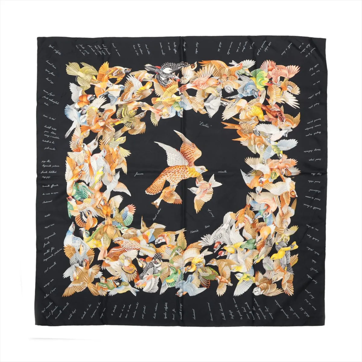 Hermes Scarf L'Intrus Trespasser by Antoine De Jacquelot