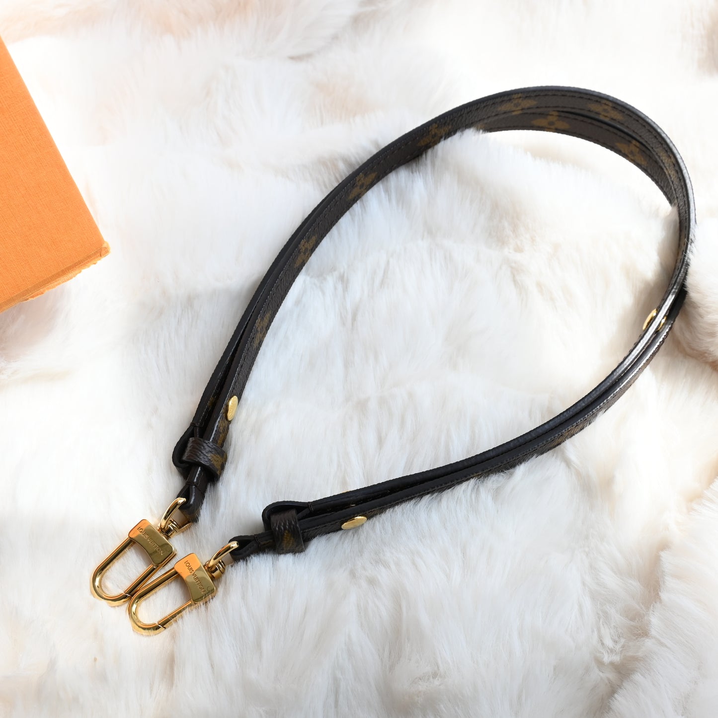 Louis Vuitton Pochette Métis East West