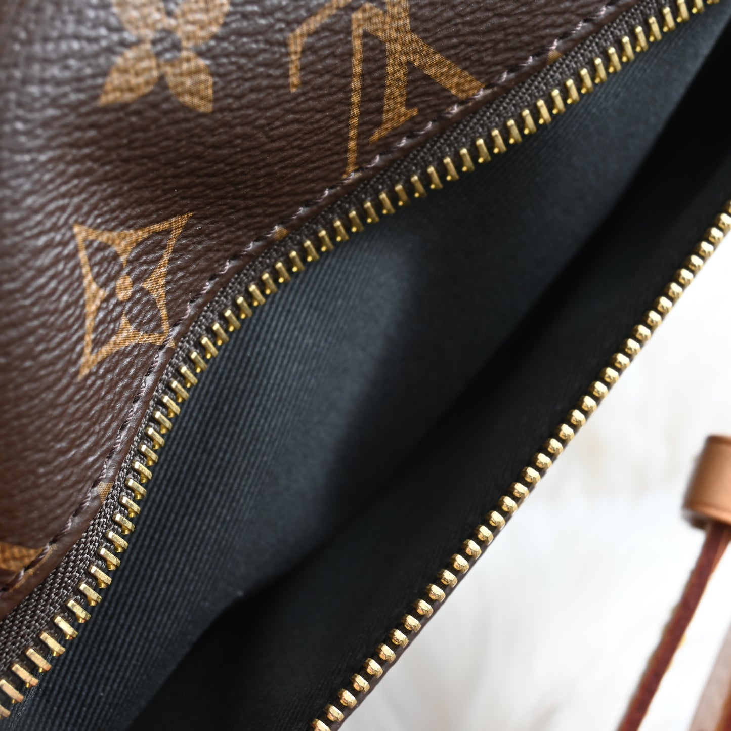 Louis Vuitton Bumbag Monogram