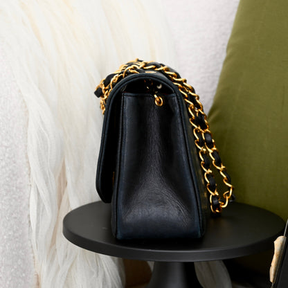 Chanel Diana Small Bag Lambskin