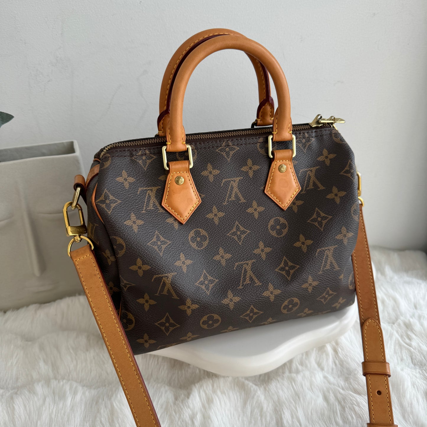 Louis Vuitton Speedy 25 Monogram