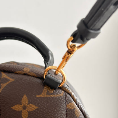 Louis Vuitton Mini Palm Spring Backpack