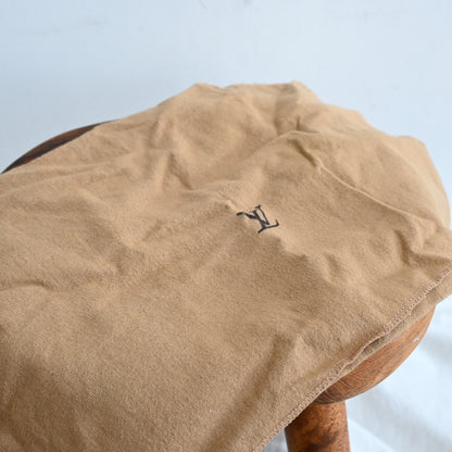 Louis Vuitton Monogram Coussin