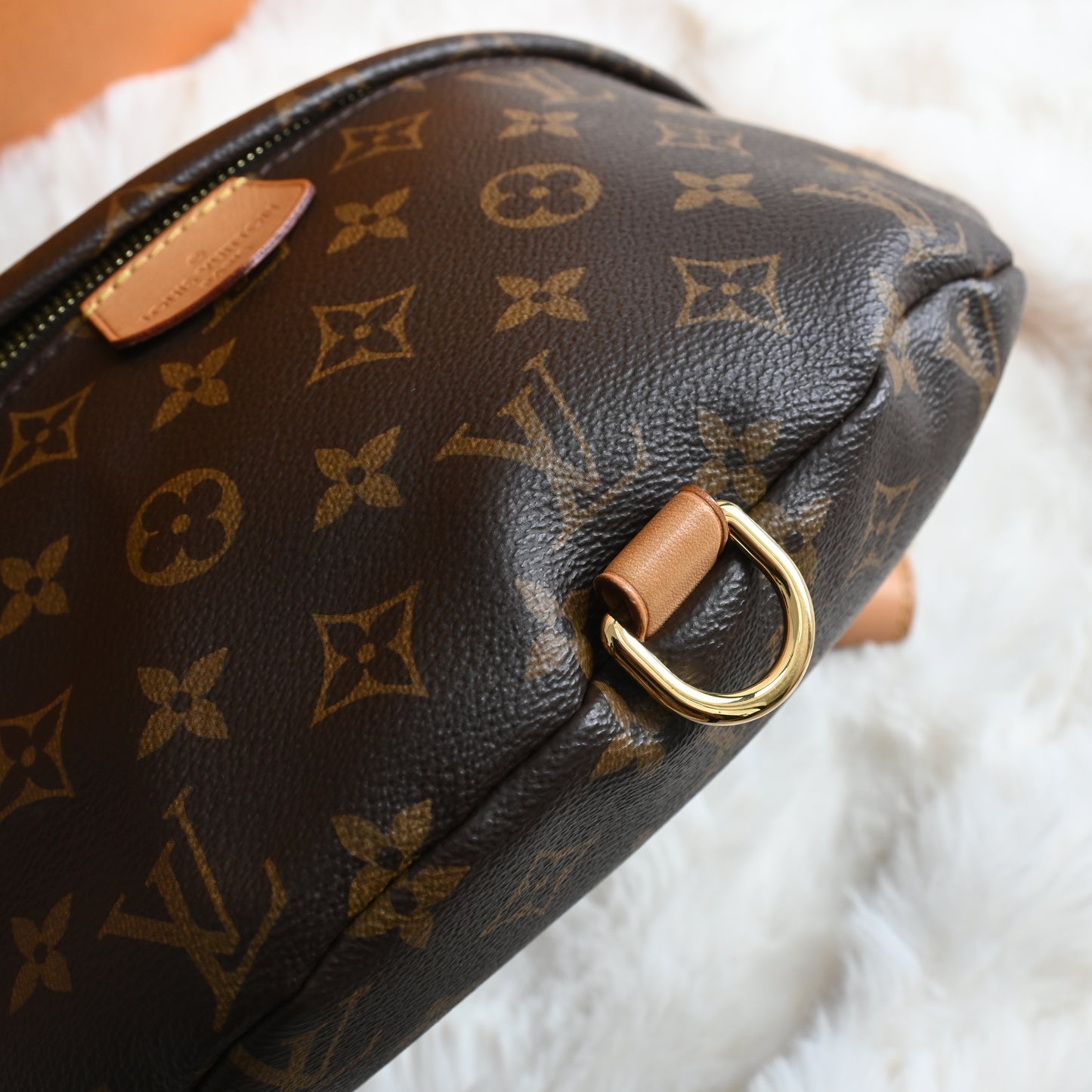 Louis Vuitton Bumbag Monogram