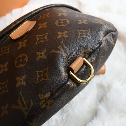 Louis Vuitton Bumbag Monogram